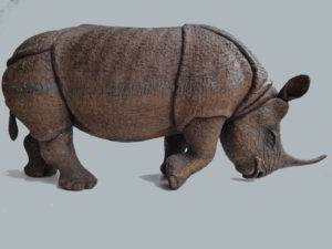 Foto Rhinozeross