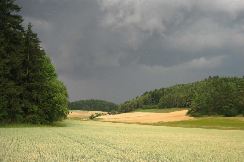 Blick zum Kastenbauer